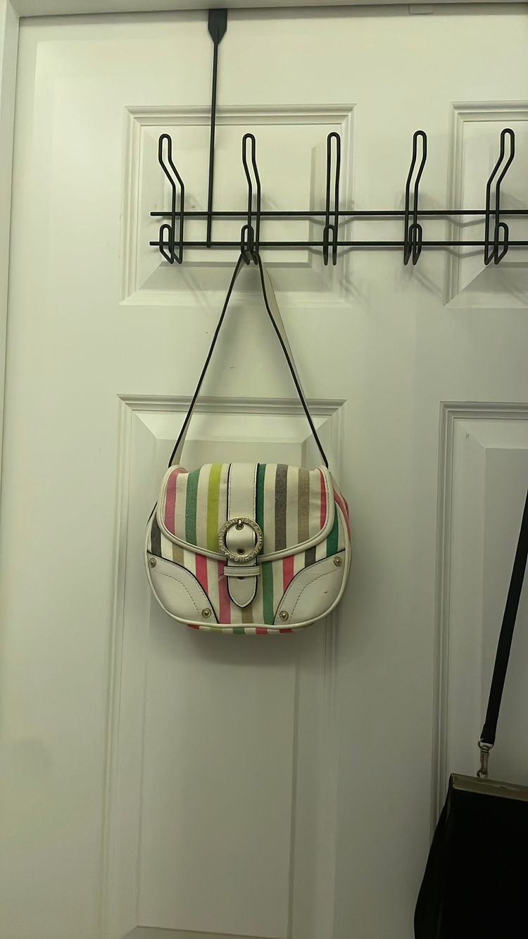 Multi-Color Striped Crossbody Saddle Bag with Front Clasp Closure